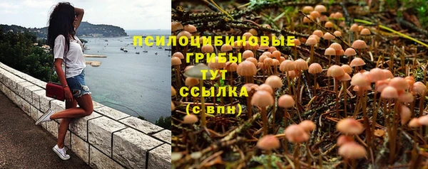 мдпв Канск
