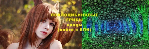 дурь Мегион