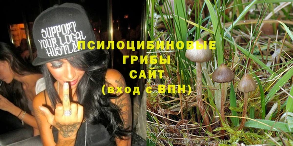 дурь Мегион