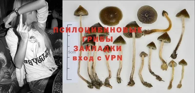 Галлюциногенные грибы MAGIC MUSHROOMS  где продают наркотики  Кореновск 