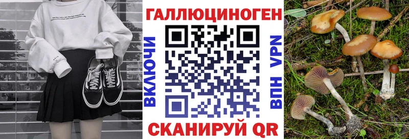 цена наркотик Кореновск hydra зеркало Галлюциногенные грибы Cubensis