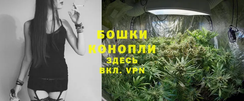 закладки  hydra ссылка  Бошки Шишки White Widow  Кореновск 